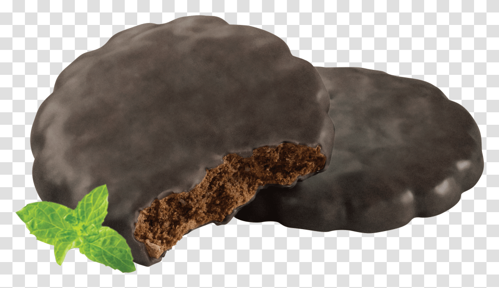 Why You Buy Girl Scout Cookies Every Year, Nature, Outdoors, Fungus, Weather Transparent Png