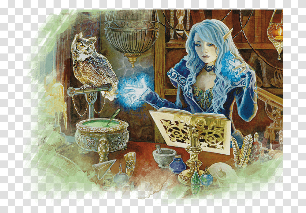 Why Your Low Half Elf Blue Hair Female, Bird, Animal, Person, Painting Transparent Png