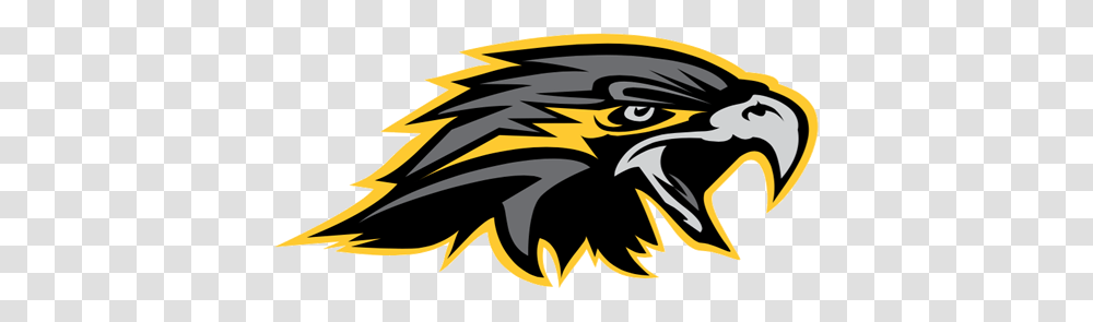 Wichita Falls Nighthawks, Eagle, Bird, Animal Transparent Png