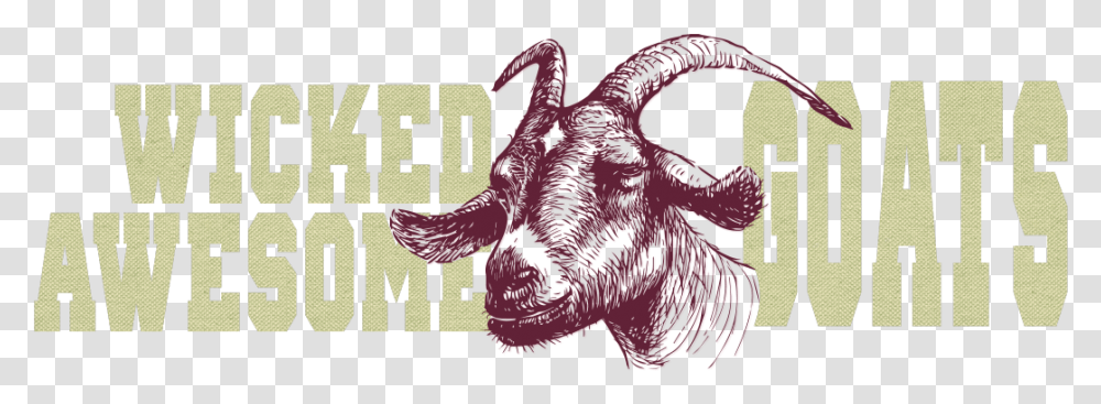 Wicked Awesome Goats Stubborn Goat, Animal, Mammal, Wildlife, Reptile Transparent Png