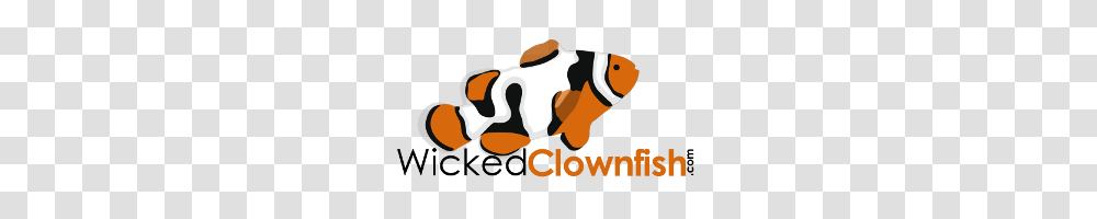 Wicked Clownfish T Shirts, Wasp, Bee, Insect, Invertebrate Transparent Png