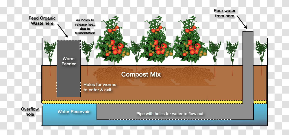 Wicking Bed, Plant, Poster, Advertisement, Fruit Transparent Png