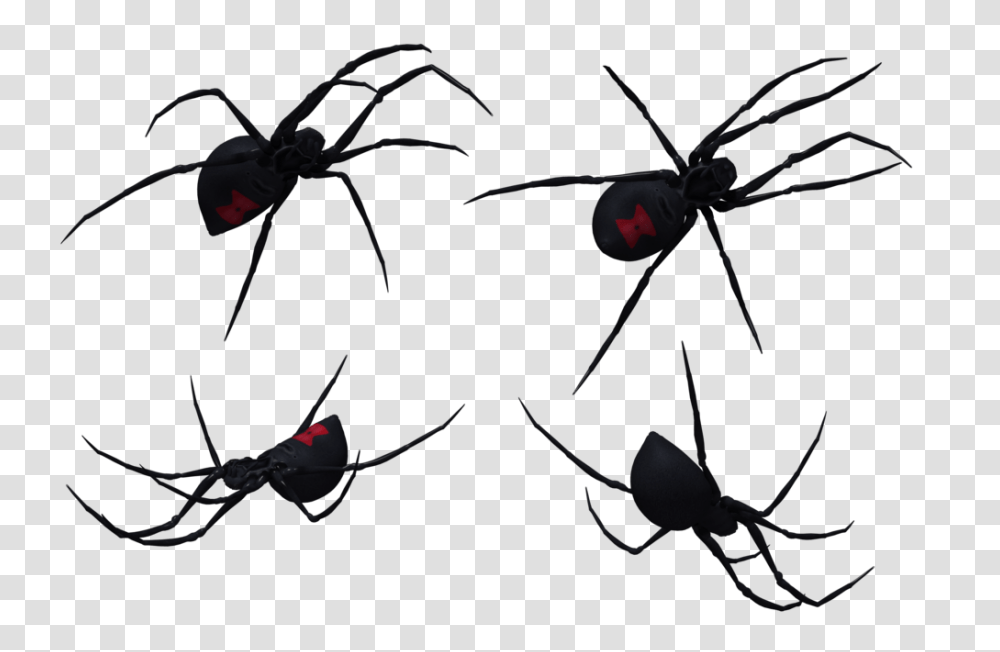 Widow Spiders Clip Art, Black Widow, Insect, Invertebrate, Animal Transparent Png