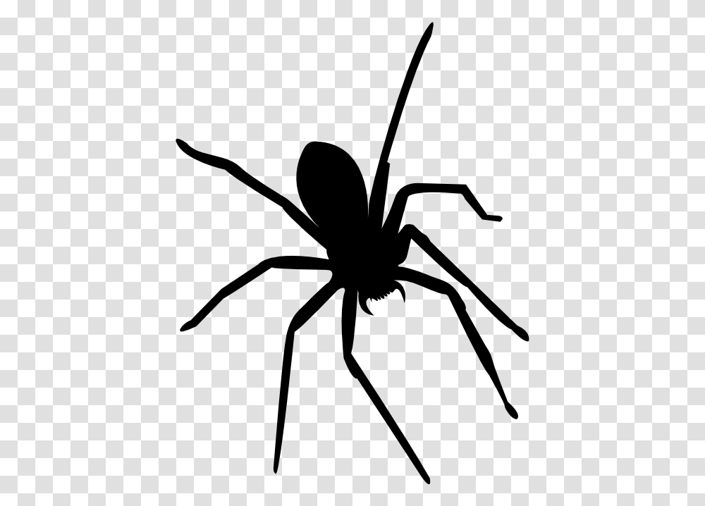 Widow Spiders Insect Mosquito Ant Tangle Web Spider, Gray, World Of Warcraft Transparent Png
