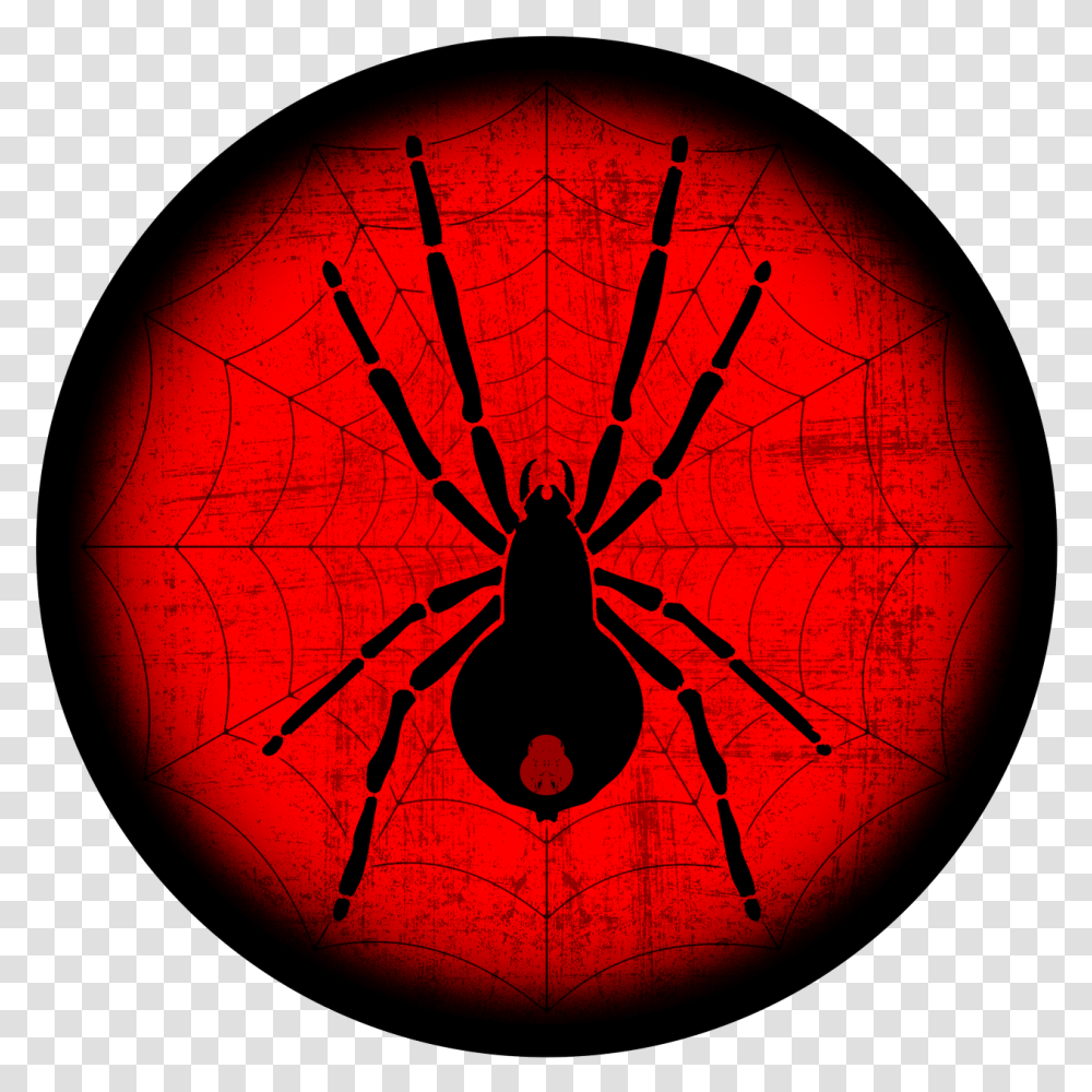 Widow Spiders, Lamp, Logo, Animal Transparent Png
