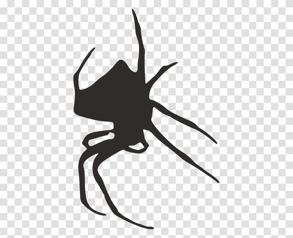 Widow Spiders Silhouette Spider Web Download, Animal, Reptile, Photography, Person Transparent Png