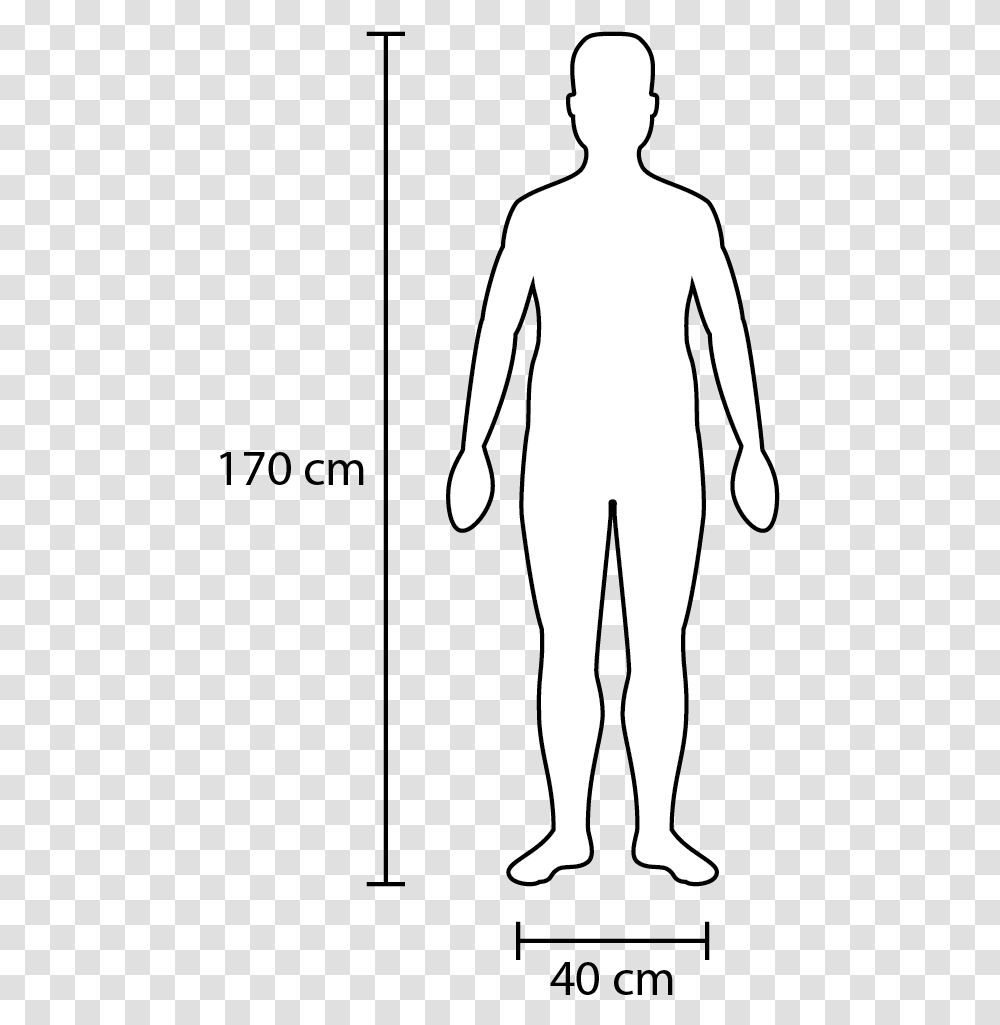 Width And Height Of A Fairly Average Adult Person In Scale, Silhouette, Stencil, Human, Back Transparent Png
