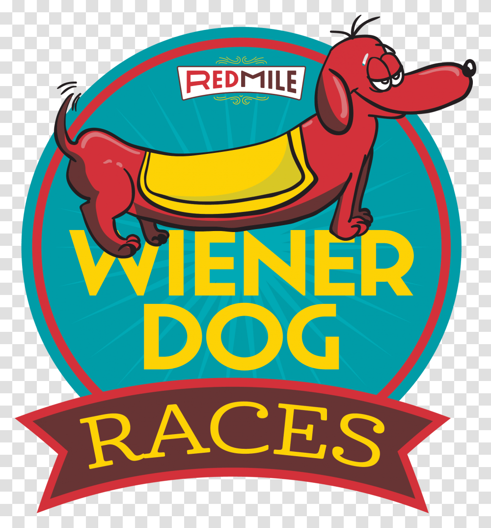 Wiener Dog Racing Cartoon, Logo, Advertisement, Poster Transparent Png