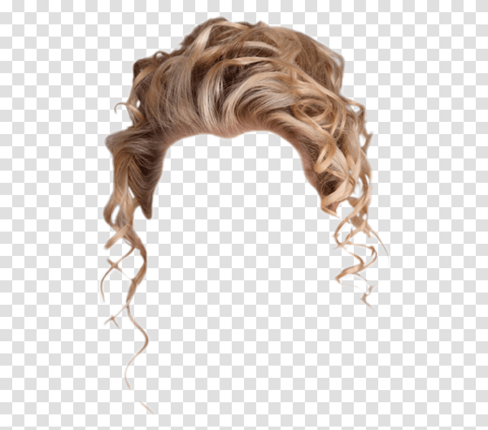 Wig Blonde Updohair Updo Curls Blonde Updo Hair Background, Animal, Person, Human, Bird Transparent Png