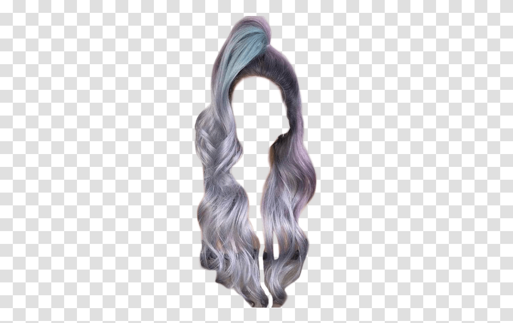 Wig, Hair, Animal, Person, Human Transparent Png