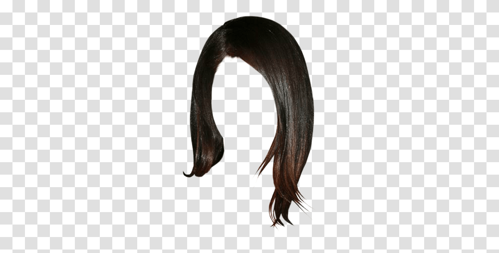 Wig, Hair, Animal, Wolf, Mammal Transparent Png