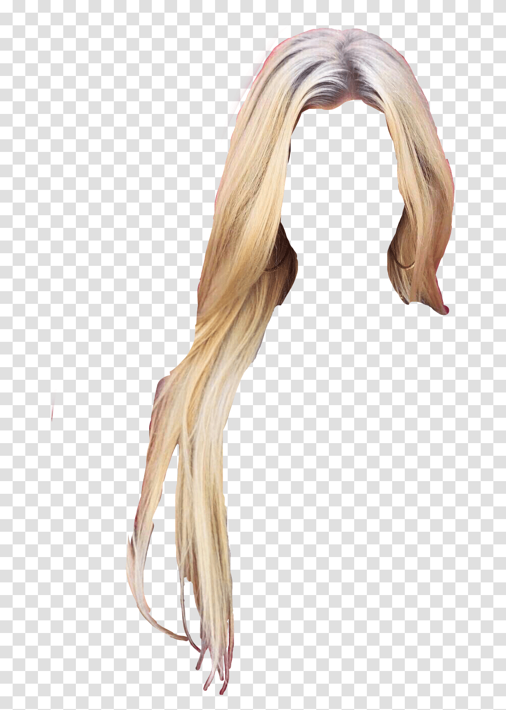 Wig Hair Blondewig Blondehair Lace Wig, Bird, Animal, Costume Transparent Png
