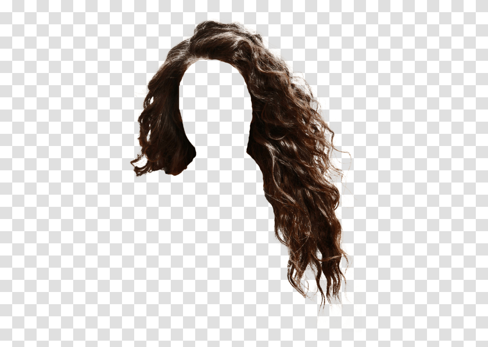 Wig, Hair, Person, Human, Head Transparent Png