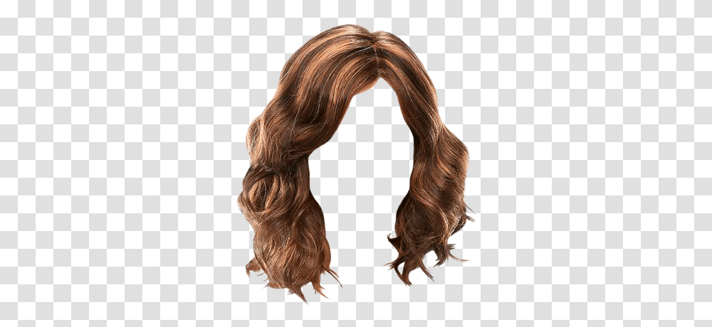 Wig, Hair, Person, Human, Ponytail Transparent Png