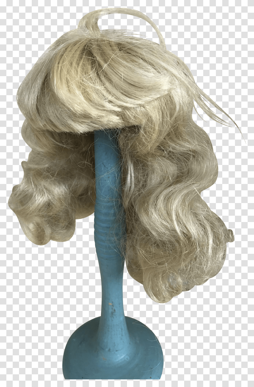 Wig, Hair, Person, Human, Warthog Transparent Png