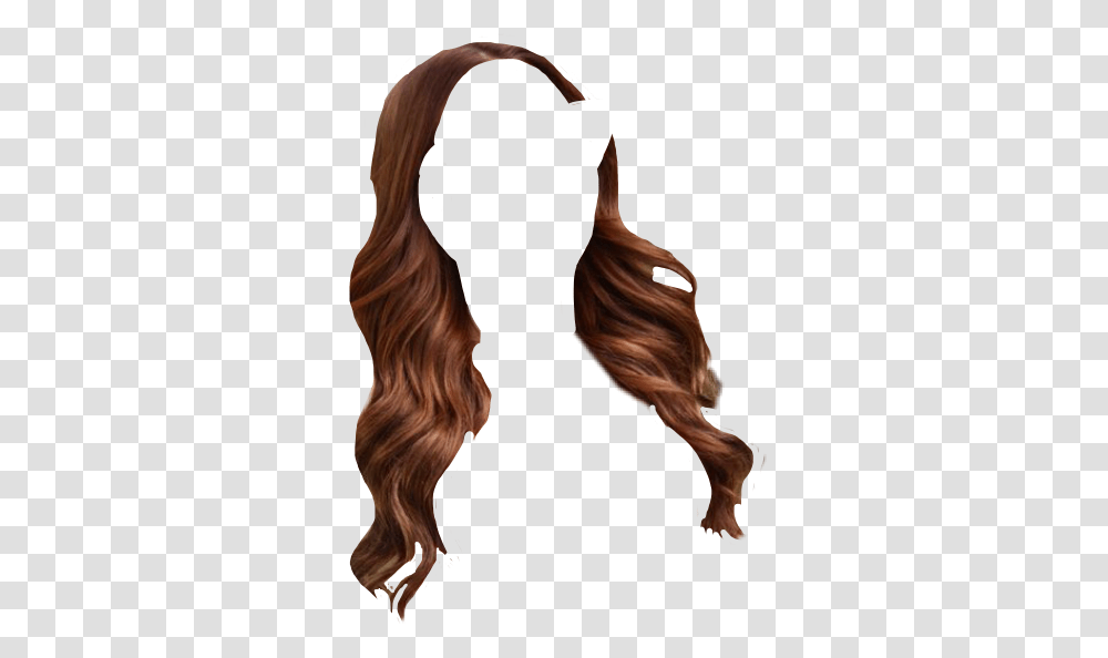 Wig Lace Wig, Hair, Person, Human, Mammal Transparent Png