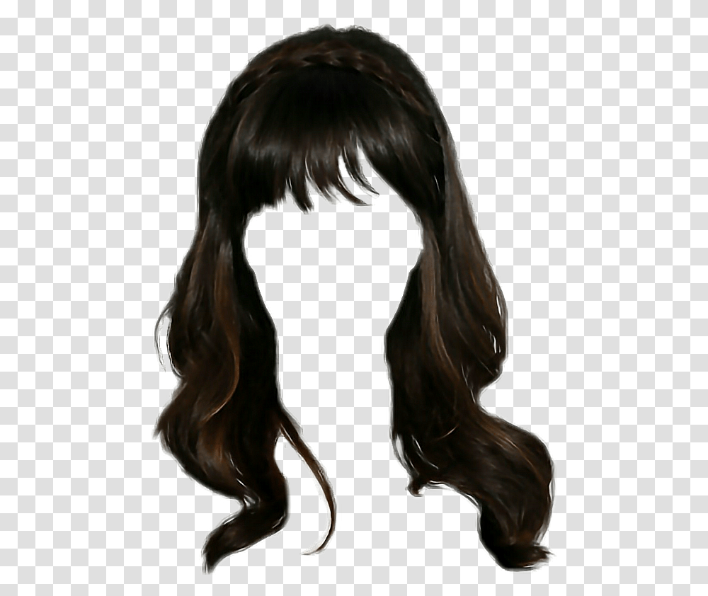 Wig Paruccha Wigs Wigstickers Hair Wig, Horse, Mammal, Animal Transparent Png