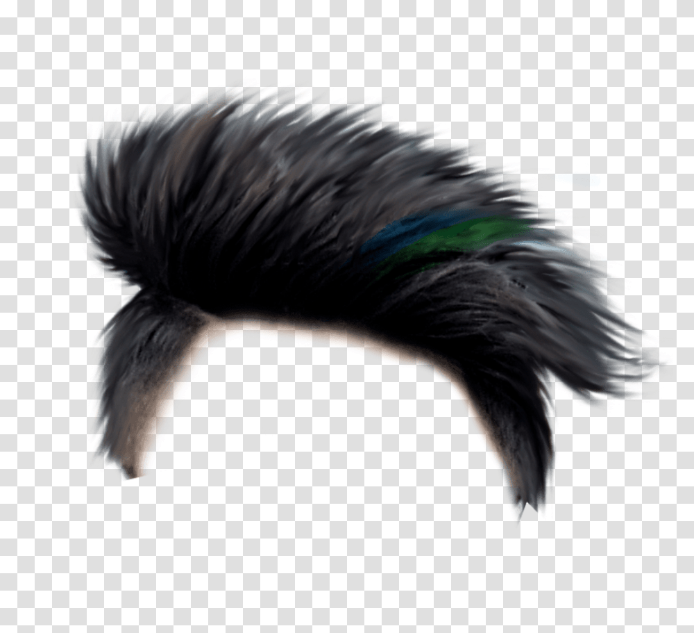 Wig, Person, Bird, Animal, Chicken Transparent Png