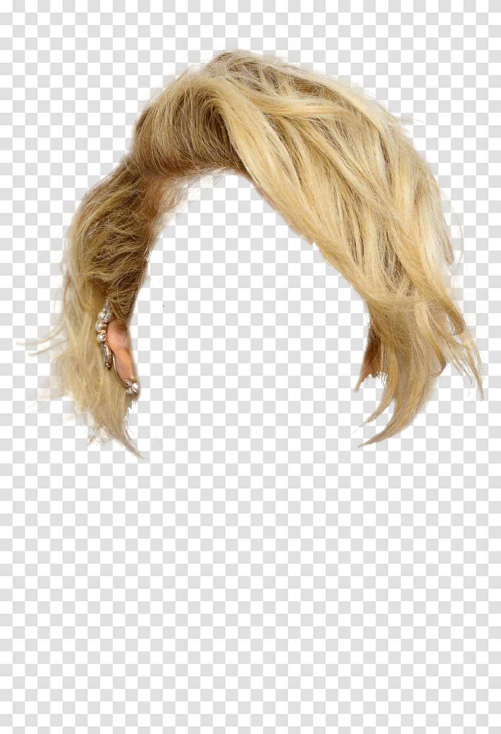 Wig, Person, Blonde, Woman, Girl Transparent Png