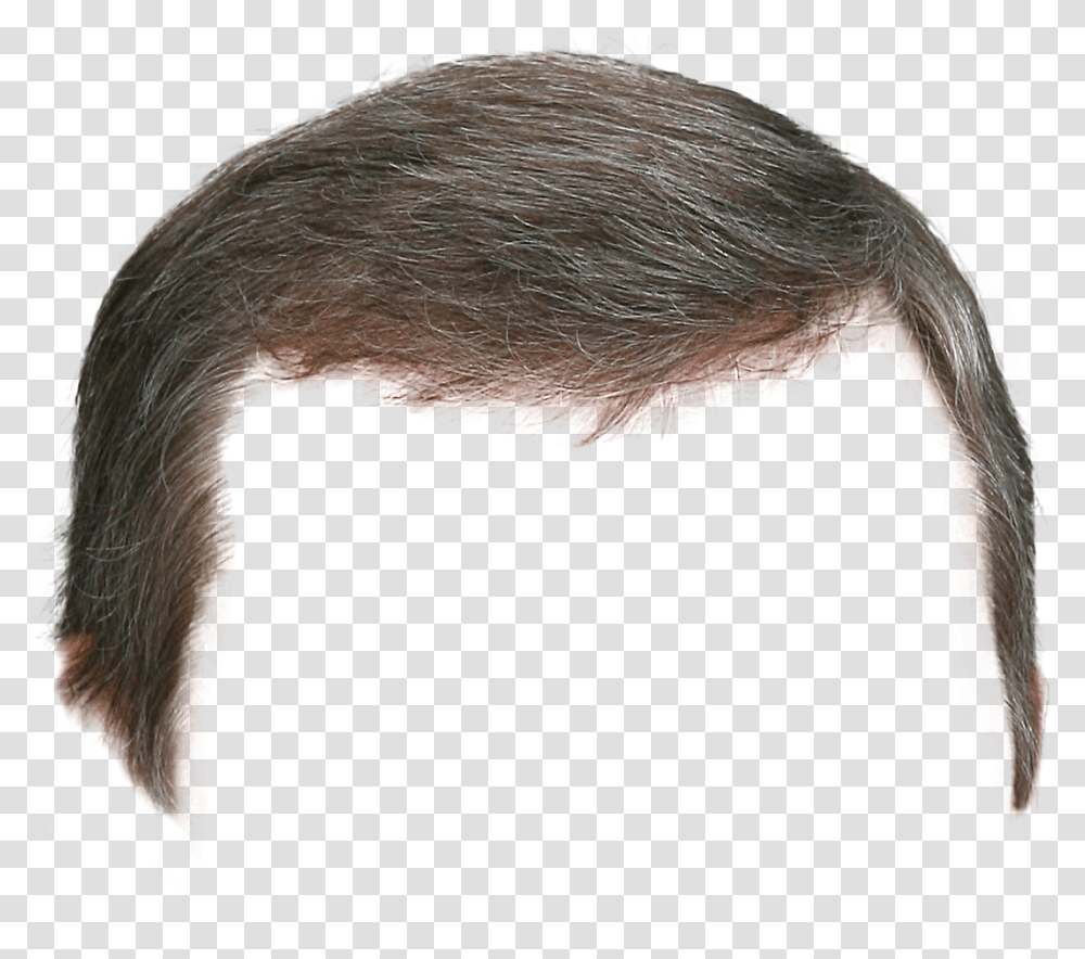 Wig, Person, Face, Human, Head Transparent Png