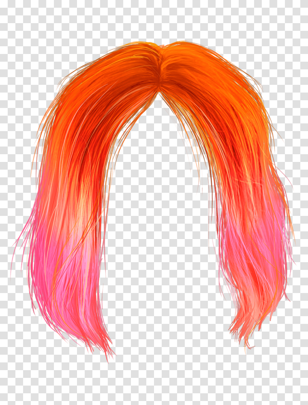 Wig, Person, Hair, Bird, Animal Transparent Png