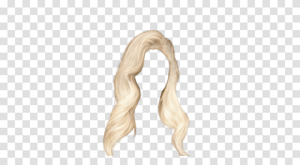 Wig, Person, Hair, Bird, Animal Transparent Png