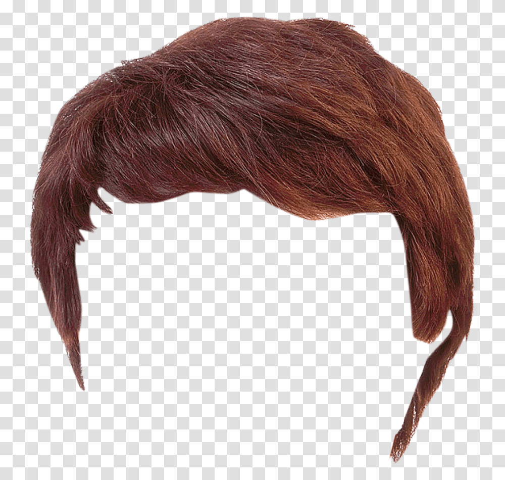 Wig, Person, Hair, Bird, Animal Transparent Png