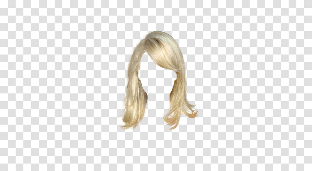 Wig, Person, Hair, Bird, Animal Transparent Png