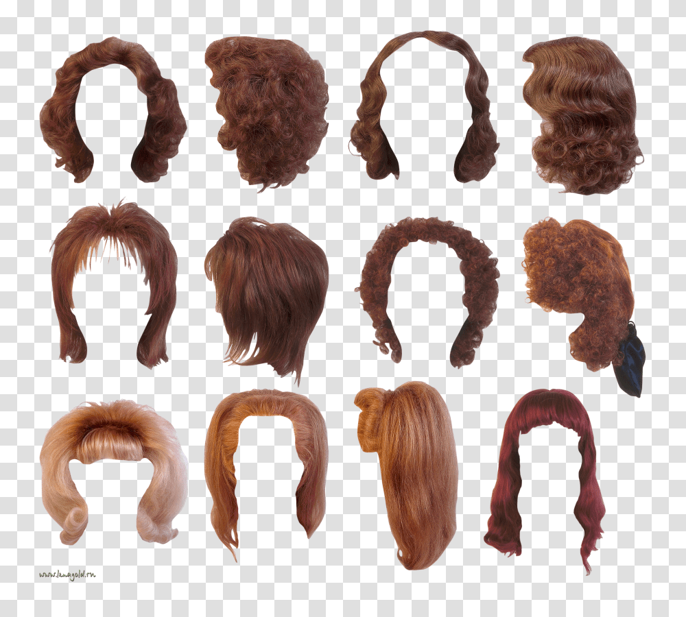 Wig, Person, Hair, Bronze, Rug Transparent Png
