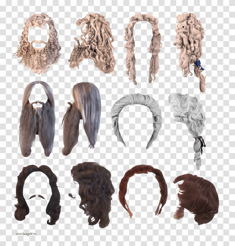 Wig, Person, Hair, Fur, Rug Transparent Png