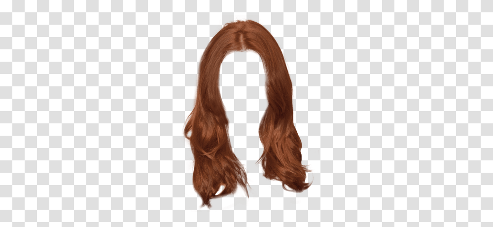 Wig, Person, Hair, Horse, Animal Transparent Png