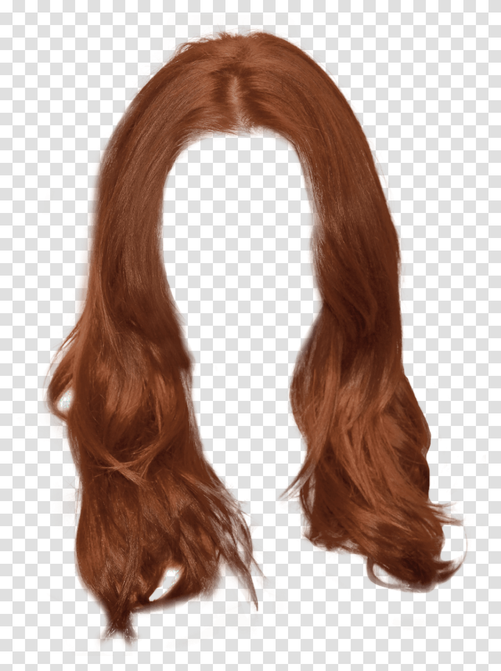 Wig, Person, Hair, Horse, Mammal Transparent Png