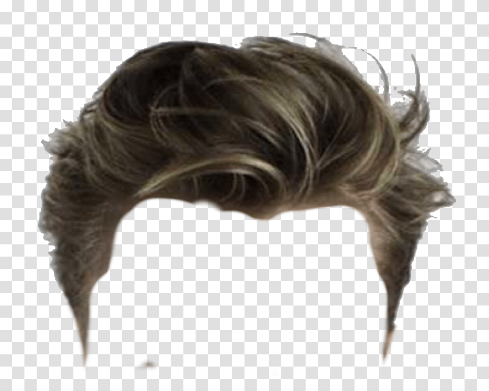 Wig, Person, Hair, Human, Animal Transparent Png