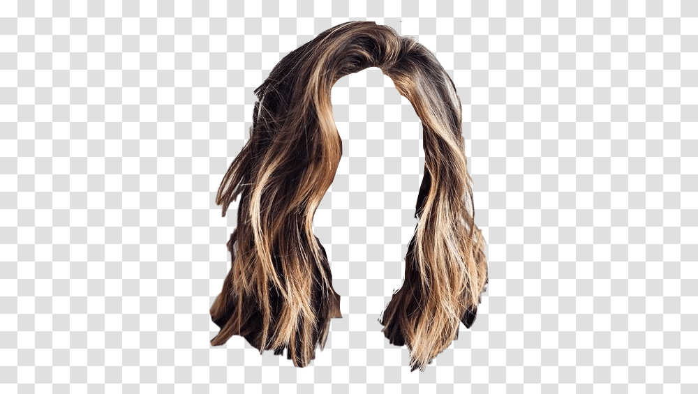 Wig, Person, Hair, Human, Fur Transparent Png