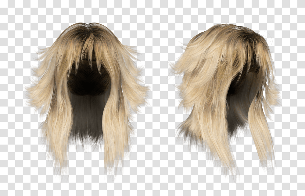 Wig, Person, Hair, Human, Fur Transparent Png