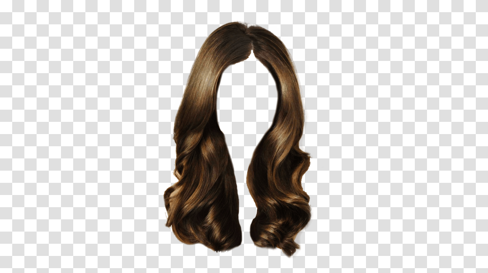 Wig, Person, Hair, Human, Horse Transparent Png