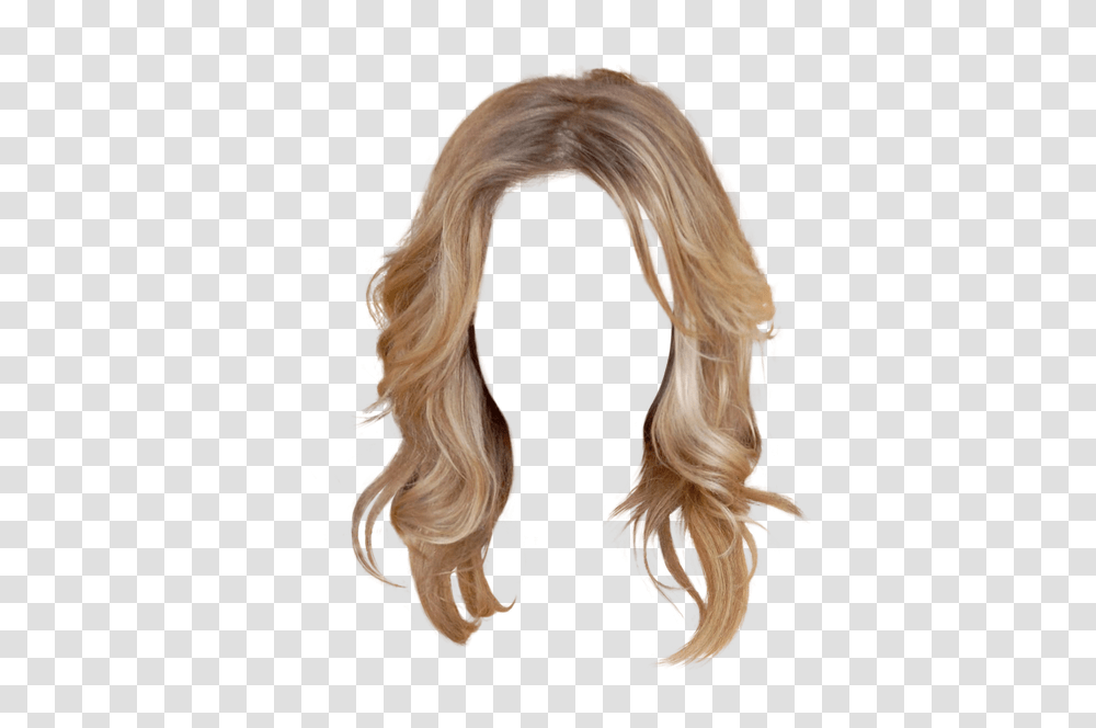 Wig, Person, Hair, Human, Ponytail Transparent Png