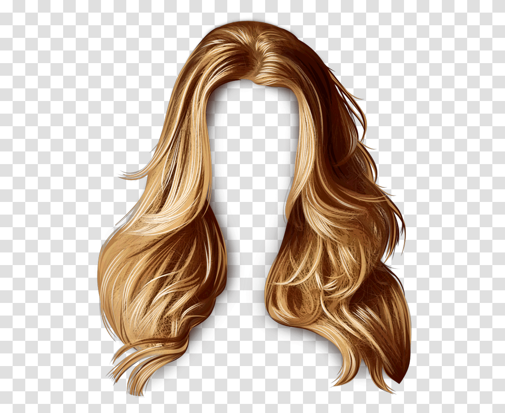 Wig, Person, Hair, Human, Ponytail Transparent Png