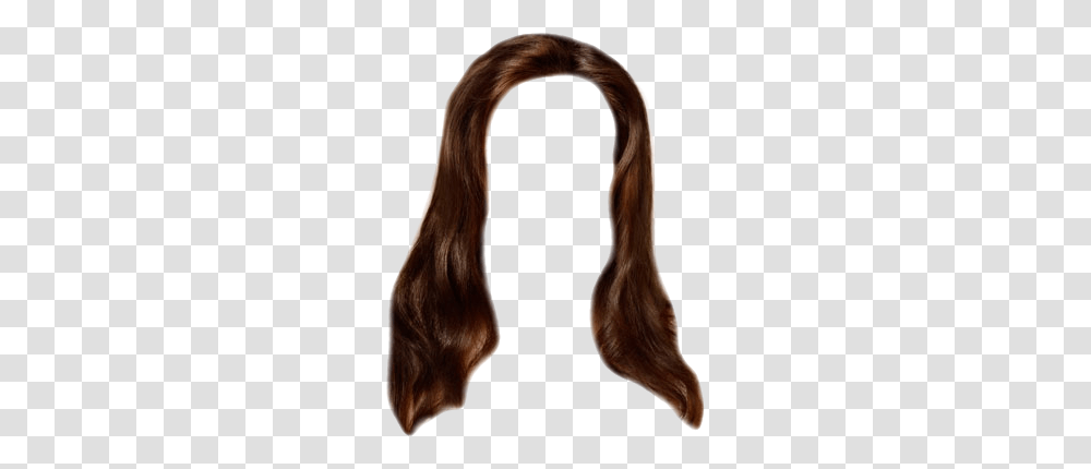 Wig, Person, Hair, Human, Ponytail Transparent Png