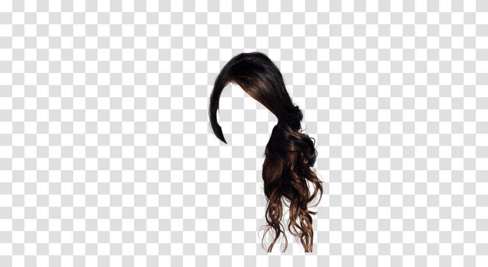 Wig, Person, Hair, Human, Ponytail Transparent Png