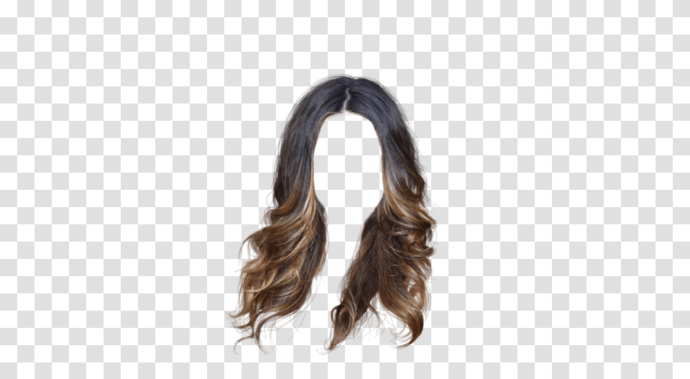 Wig, Person, Hair, Human, Ponytail Transparent Png