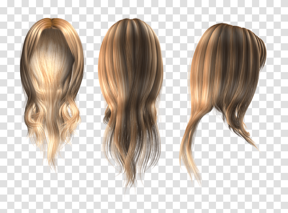 Wig, Person, Hair, Human Transparent Png