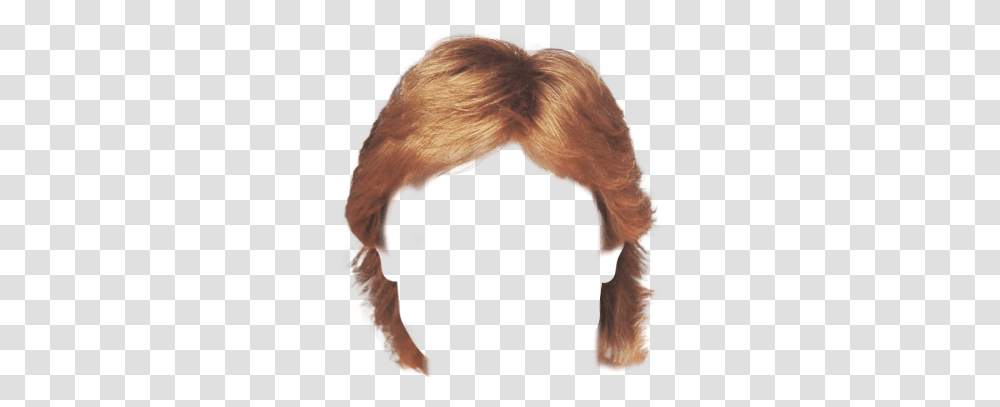 Wig, Person, Hair, Human Transparent Png