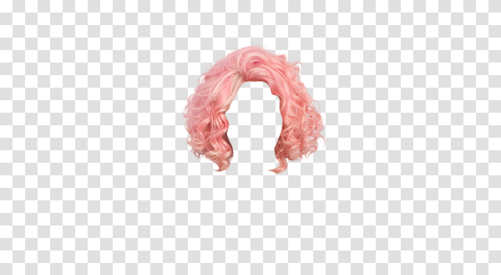 Wig, Person, Hair, Human Transparent Png