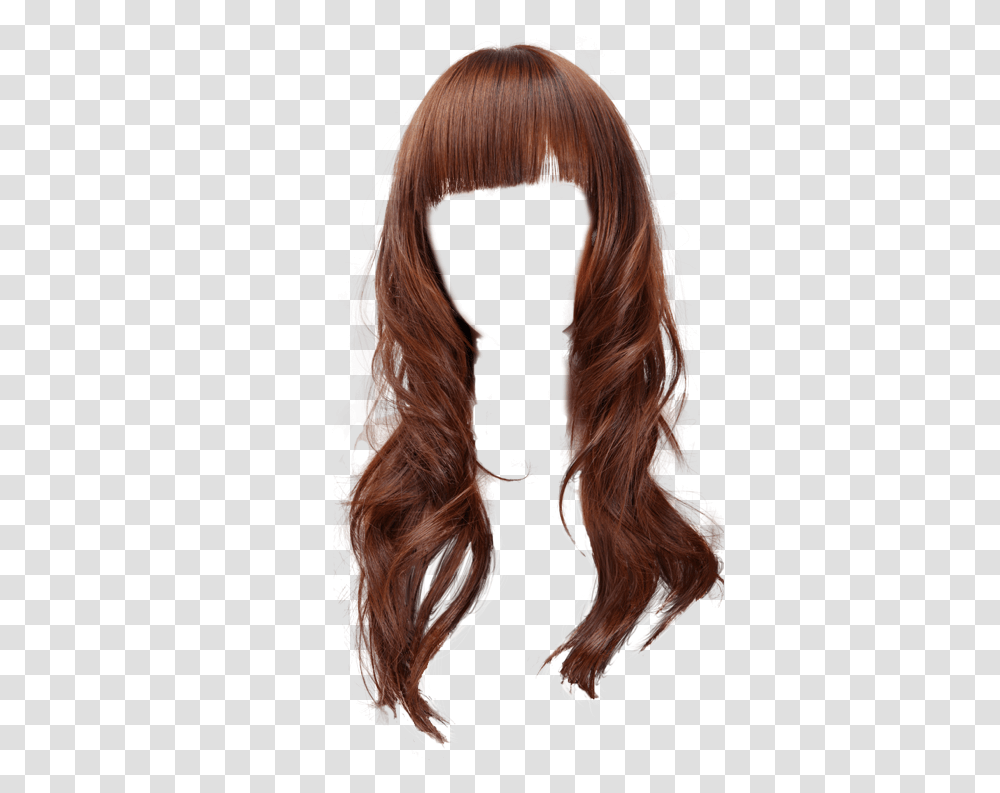 Wig, Person, Hair, Mammal, Animal Transparent Png