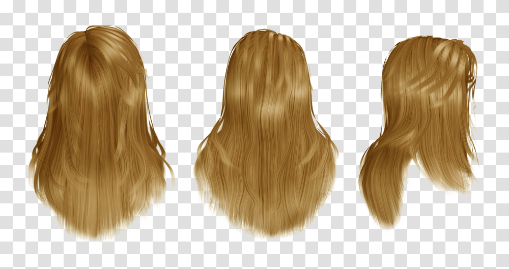 Wig, Person, Hair, Plant, Human Transparent Png
