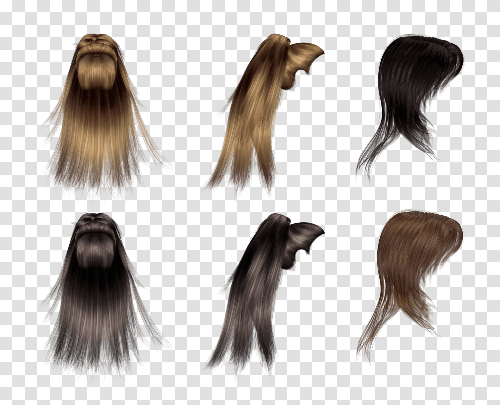 Wig, Person, Hair, Ponytail, Human Transparent Png