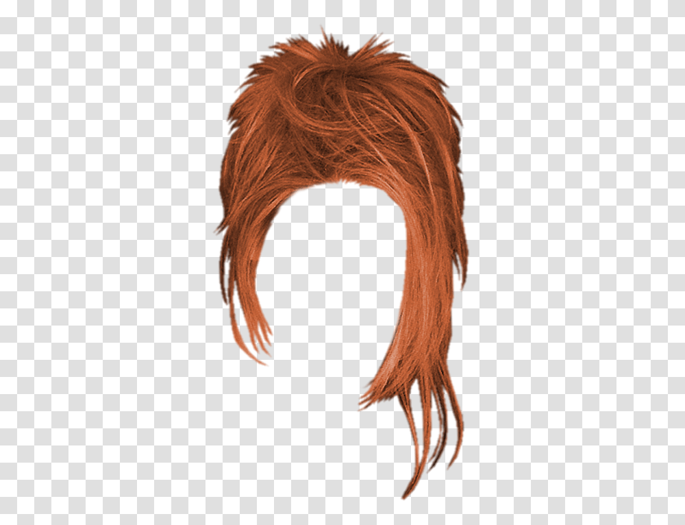 Wig, Person, Wood, Hair, Staircase Transparent Png
