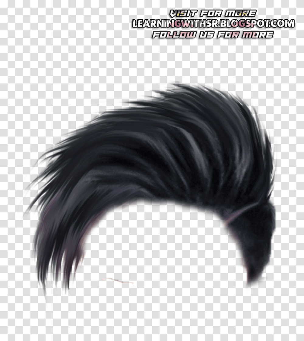Wig Picsart Hair Download, Bird, Animal, Pattern, Fractal Transparent Png