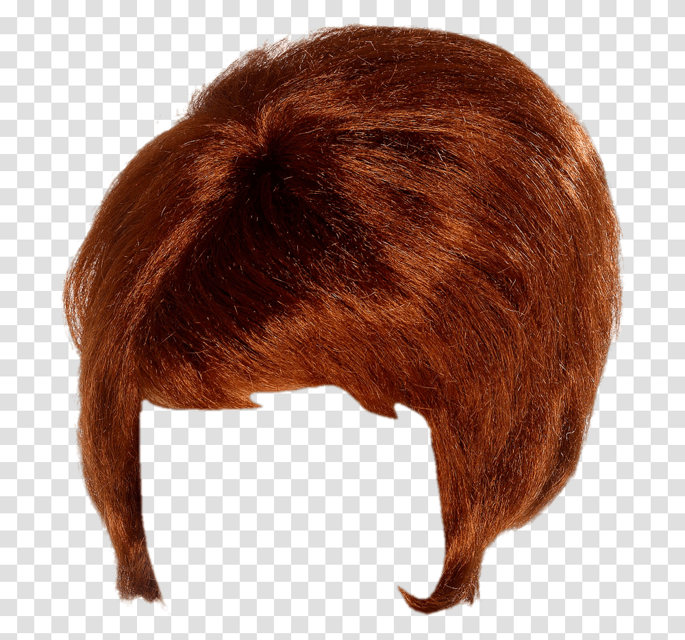 Wigs Background, Pig, Mammal, Animal, Hair Transparent Png
